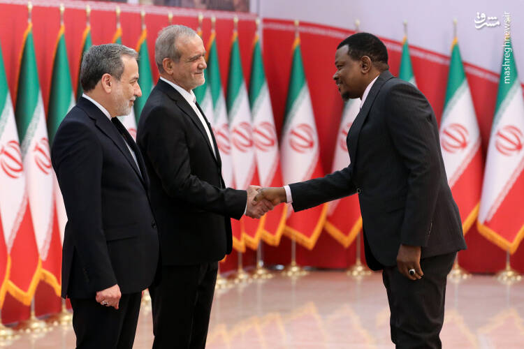 عکس/ مراسم رسمی سلام سفراء به رئیس جمهور