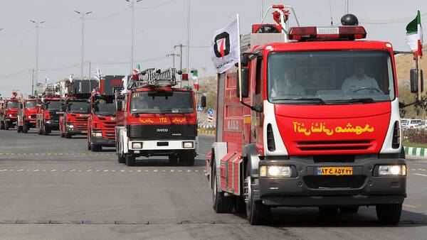 راهپيمايي،بهمن،سازمان