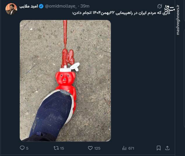 تصویری از رضا پهلوی در راهپیمایی ۲۲ بهمن!