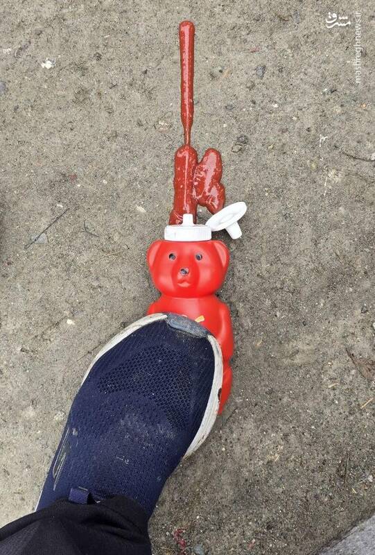 تصویری از رضا پهلوی در راهپیمایی ۲۲ بهمن!