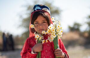 هشتمین جشنواره گل نرگس در کازرون