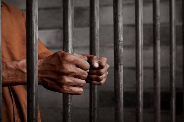 نفر،عراق،سازمان،سخنگو،ائتلاف،امنيت،اطلاعات