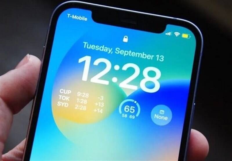 گمركي،نمايندگان،حقوق،همراه