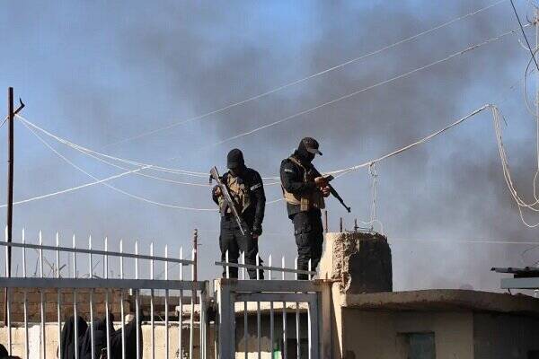 عراق،نفر،تروريست،منتقل،آمريكا