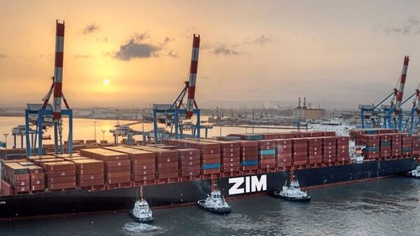 اسرائيل،زيم،شركت،فروش،امنيت،اقتصادي،استراتژيك،مالكيت،معامله، ...