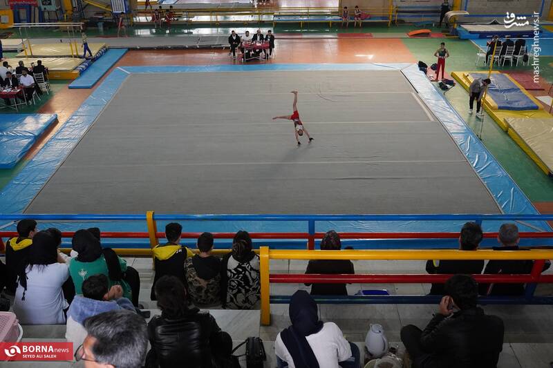 عکس/ المپیاد استعدادهای برتر ژیمناستیک