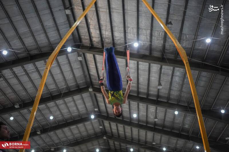 عکس/ المپیاد استعدادهای برتر- "ژیمناستیک"