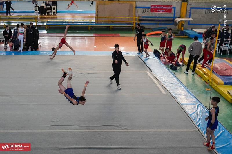 عکس/ المپیاد استعدادهای برتر- "ژیمناستیک"