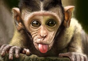 بازی کردن میمون با ورژن پارچه‌ای خودش!