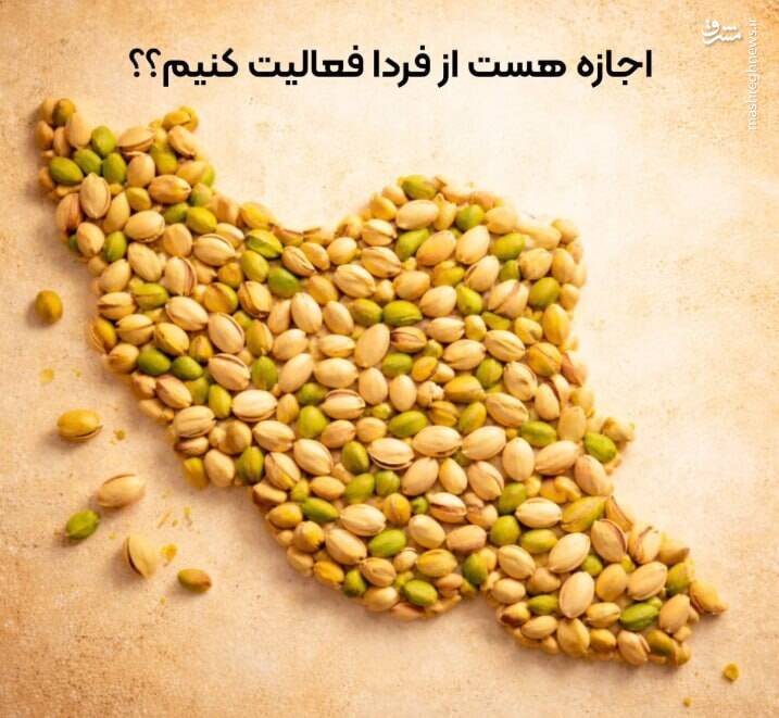 ما عید نداریم ولی برای "بوتاکس" وقت هست!/ اینستاگرام؛ صحنه خشم یا پناهگاه معیشت؟