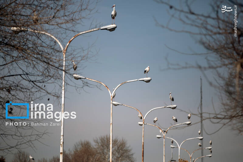 عکس/ میان کوچ و ماندن