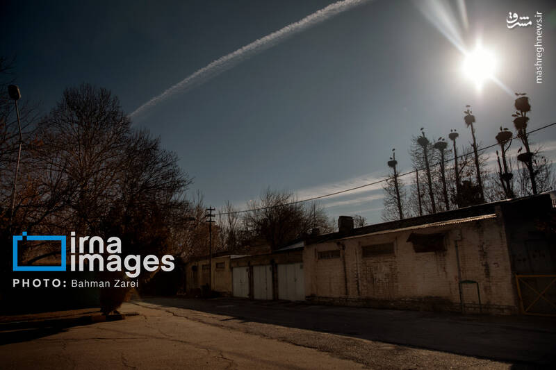 عکس/ میان کوچ و ماندن