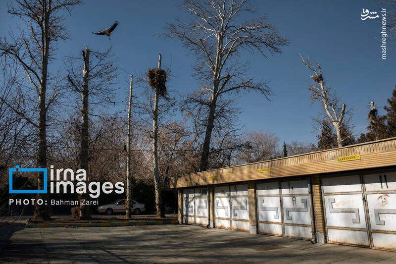 عکس/ میان کوچ و ماندن