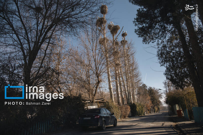 عکس/ میان کوچ و ماندن