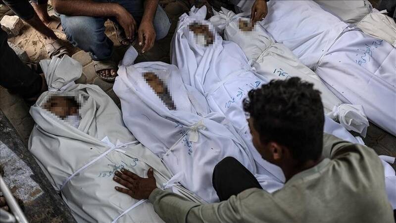 بميرم،ترجيح،فعال