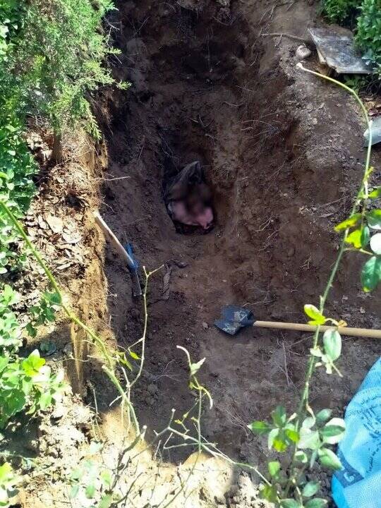 کشف راز قتل مرد مفقود تهران؛ جسد در باغی دفن شده بود