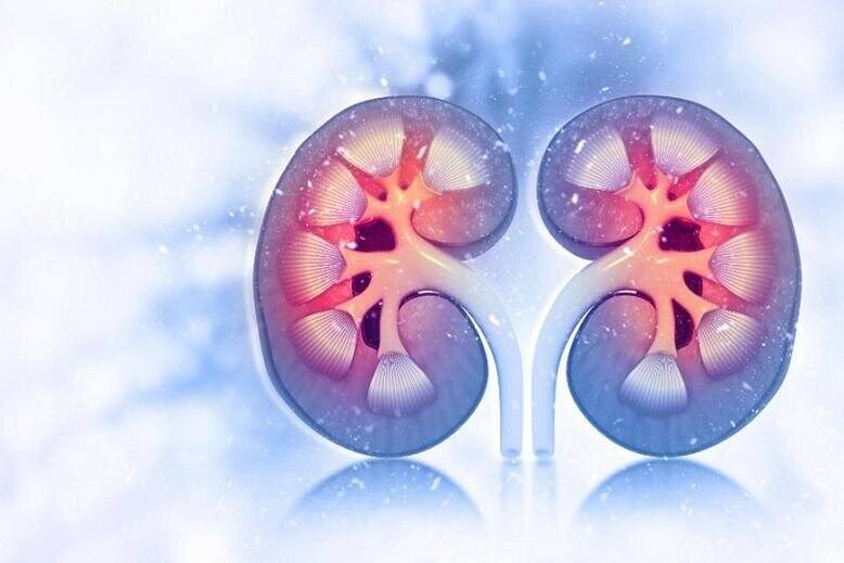 كليه،داروها،انرژي،التهاب،ماهي،درمان،خوني،پير،مشاهده،سن،سرعت، ...