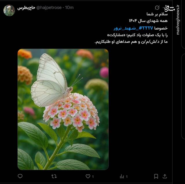 واکنش کاربران فضای مجازی به اربعین شهدای حوادث دی ماه