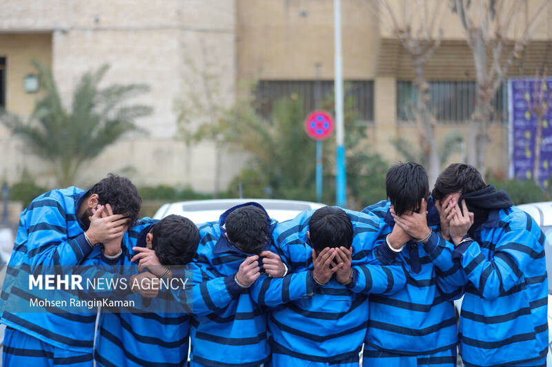 خشن،سرقت،پليس،طرح،تهران،سارقان،عملياتي،عنف،دستگيري،كشف