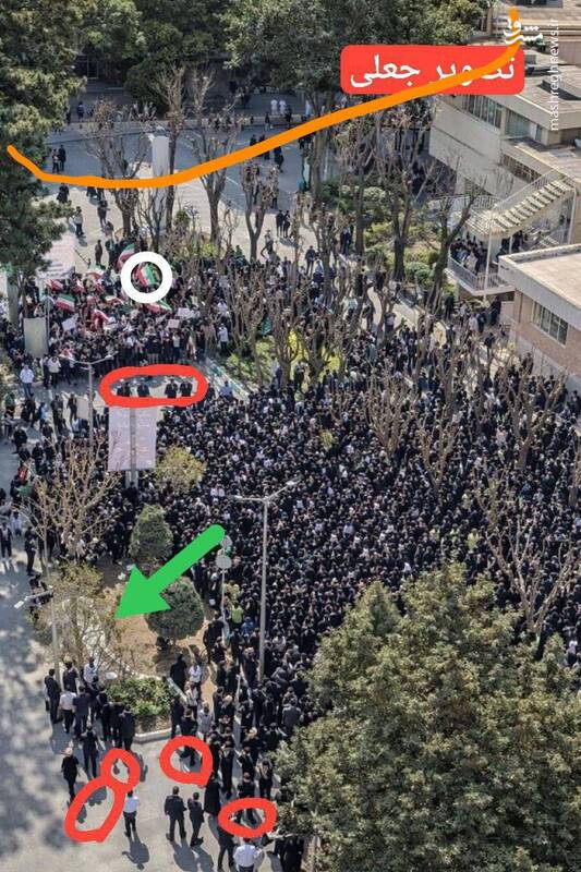 حماقتی که هزاران پرچم را برافراشت/ پروژه چاقوکشی، فحاشی و وطن‌فروشی بازهم شکست خورد +عکس