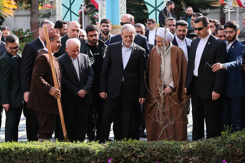 کاشت یک اصله نهال در بدو ورود به استان