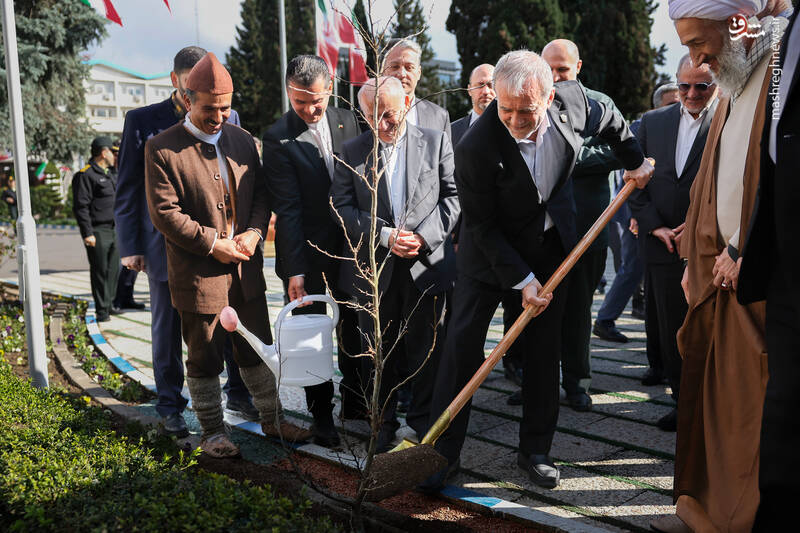 کاشت یک اصله نهال در بدو ورود به استان