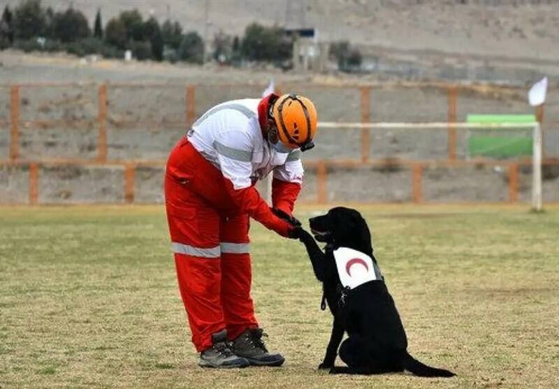 كشور،جمعيت،آنست،هوشمند،عملياتي،تخصصي،شبكه،فرآيندهاي،محمودي،ر ...