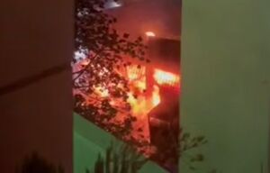 لانه عنکبوت در آتش