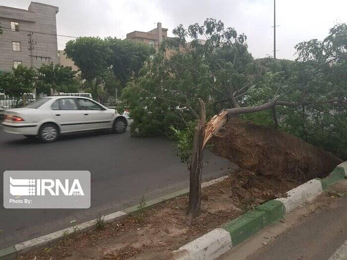 تداوم وزش باد نسبتا شدید در تهران