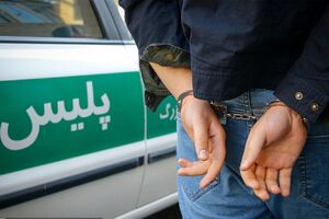 فیلم/ دستگیری یک مزدور در داراب