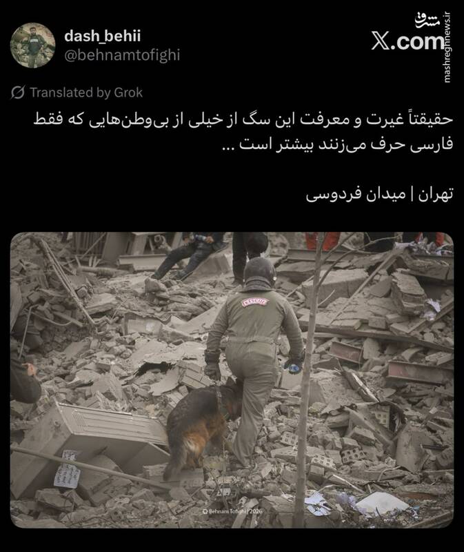 سگ‌هایی که از وطن‌فروشان باوفاترند