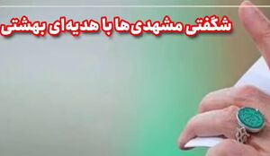 شگفتی مشهدی‌ها با هدیه‌ای بهشتی