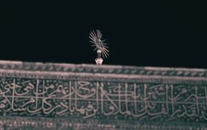 فیلم/ نماهنگ شیعه‌ی حیدر باصدای حاج محمود کریمی