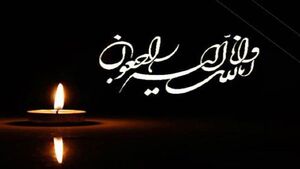 پیام تسلیت رییس سازمان نظام پزشکی برای شهادت کادر درمان+ اسامی