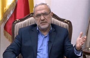حزب‌الله: ایران از هیچ گروه مقاومتی درخواست حمایت نکرد