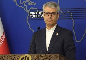 بقائی: قطعنامه شورای امنیت، اوج بی‌عدالتی است
