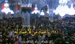 فیلم/ احیای زائران و مجاوران در حرم مطهر رضوی