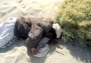 نعمت‌الله شه‌بخش، شرور معروف جنوب‌شرق به هلاکت رسید+ فیلم