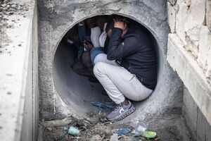 زندگی سگی صگیونیست‌ها به روایت تصویر