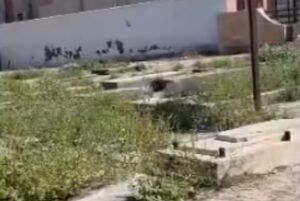 دعوت ویژه یک هم‌وطن بوشهری از سربازان آمریکایی!