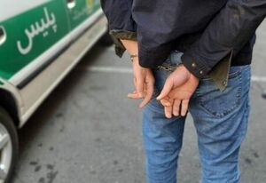 کشف ۸ دستگاه ماهواره استارلینگ در عسلویه