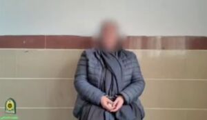 دستگیری و اعتراف عامل مرتبط با شبکه‌های رسانه‌ای معاند