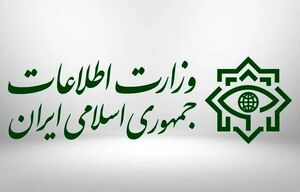 کشف ۲ محموله‌ بزرگ سلاح‌های جنگی و بازداشت ۳۰ مزدور دشمن آمریکایی - صهیونی