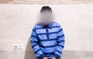 فیلم/ یک وطن فروش دیگر هم بازداشت شد