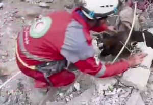 فیلم/ جست‌وجو و نجات یک شهروند با کمک سگ‌ زنده‌یاب هلال احمر