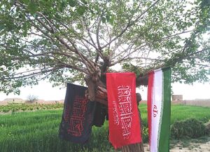 عکس/ اهتراز پرچم ایران در روز طبیعت