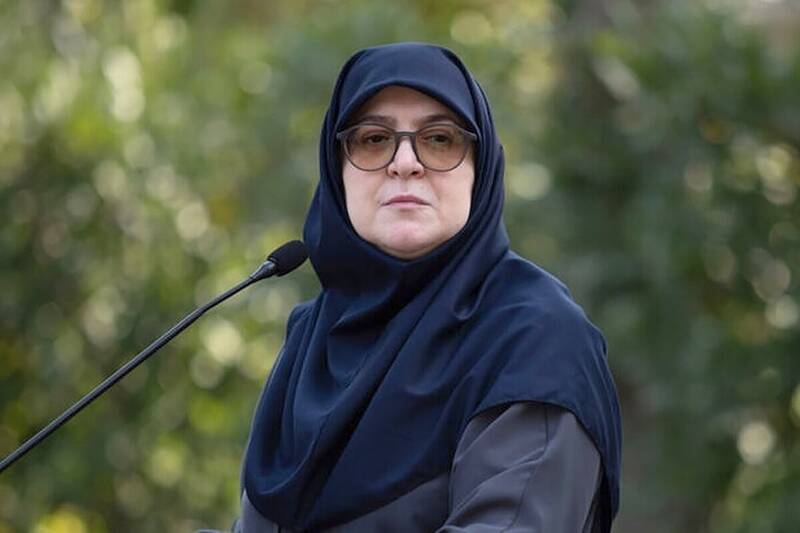 تناقض،ديپلماسي،حضور