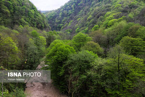 زیبایی بی‌نظیر سواد کوه مازندران