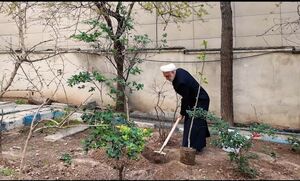 حجت‌الاسلام والمسلمین محسنی اژه‌ای یک اصله نهال غرس کرد
