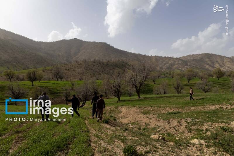 عکس/ در جستوجوی خلبان آمریکایی
